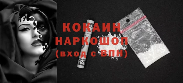 индика Абаза