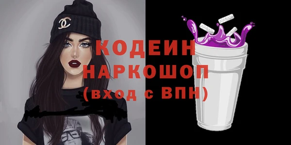 индика Абаза