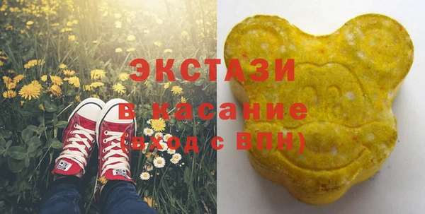 индика Абаза