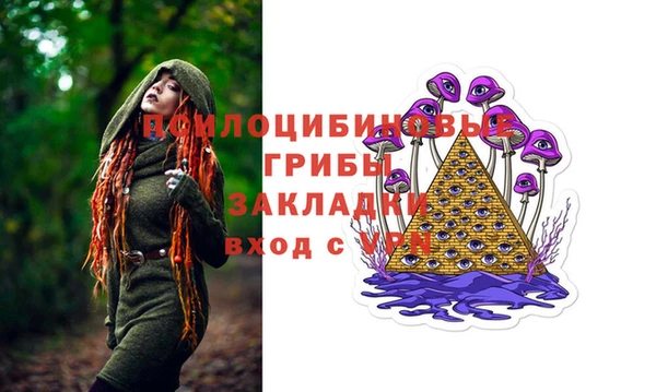 индика Абаза