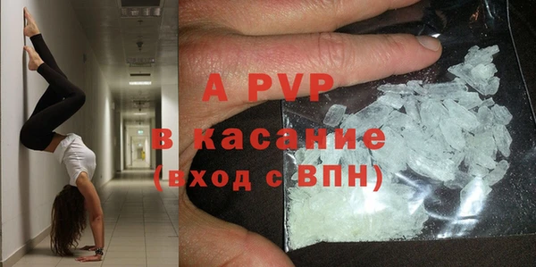 индика Абаза