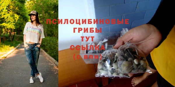 индика Абаза