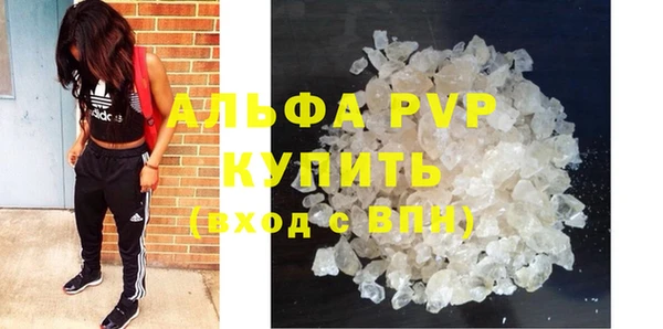 индика Абаза