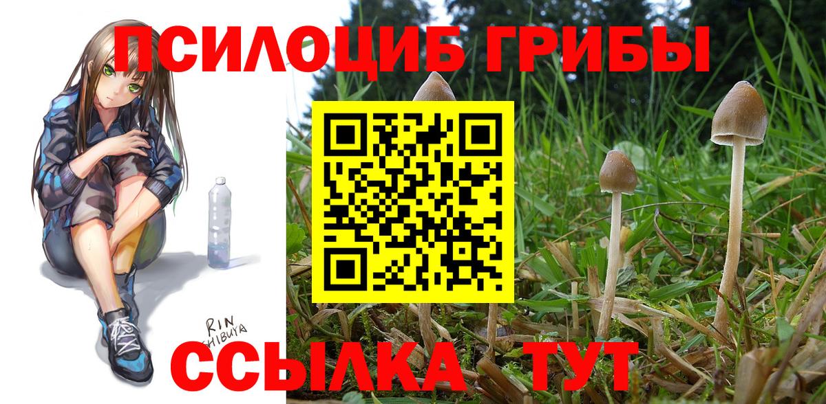 Псилоцибиновые грибы мухоморы Сафоново