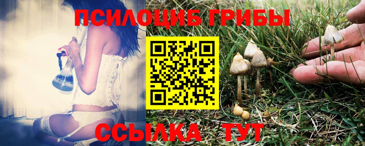 Галлюциногенные грибы Psilocybe  Вход с VPN  Галлюциногенные грибы ЛСД  что такое   Сафоново 