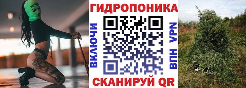 Бошки марихуана план  нарко площадка телеграм  Сафоново 
